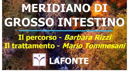 2. copertina Meridiano di Grosso Intestino